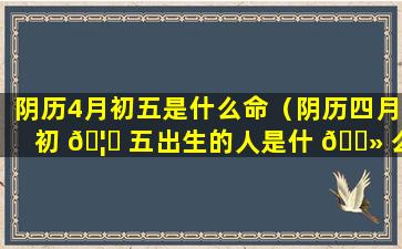 阴历4月初五是什么命（阴历四月初 🦉 五出生的人是什 🌻 么星座）